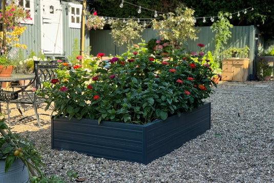 A Rhino metal raised garden bed filled with vibrant flowers sits in a gravel courtyard, surrounded by outdoor furniture, string lights, and a wooden fence adorned with more plants.