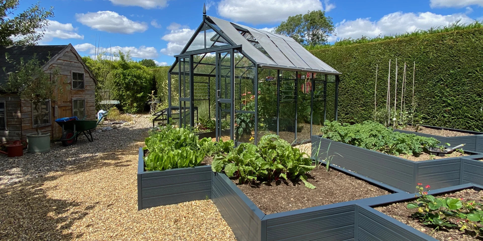 A transparent Rhino Greenhouse stands in a sunlit garden, surrounded by raised vegetable beds with lush greenery. Nearby, a wooden shed and a wheelbarrow rest on a gravel path.