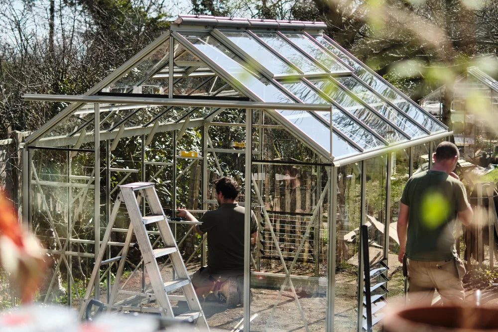 A glass Rhino Greenhouse is being constructed by two people using a ladder in a sunny garden surrounded by trees and shrubs.