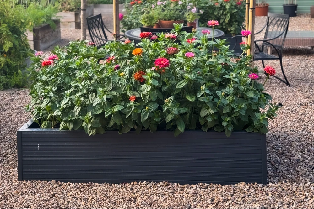 A Rhino metal raised garden bed filled with colorful blooming flowers sits on a gravel surface. Nearby are chairs and tables, surrounded by additional plants and a green structure in the background.