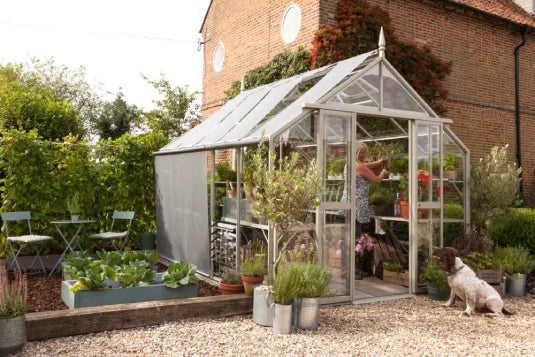 A glass Rhino Greenhouse stands in a garden with a person tending to plants inside. Nearby, leafy vegetables grow in planters, and a dog sits on gravel beside potted plants.