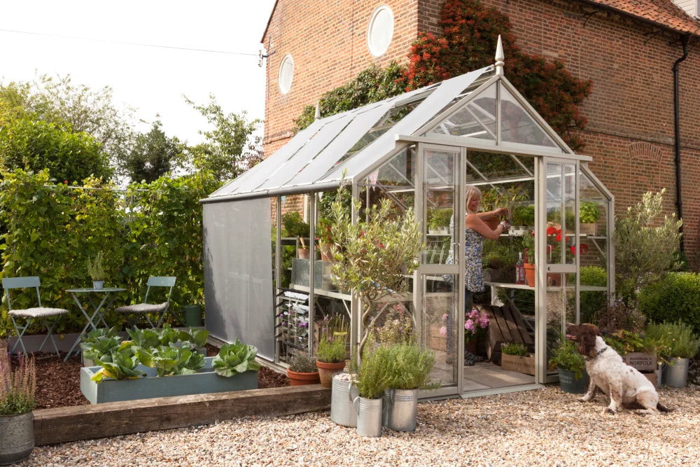 A glass Rhino Greenhouse stands in a garden, where a woman tends to potted plants inside. Surrounding it, a dog sits nearby, and there are planters, a small table, and chairs.