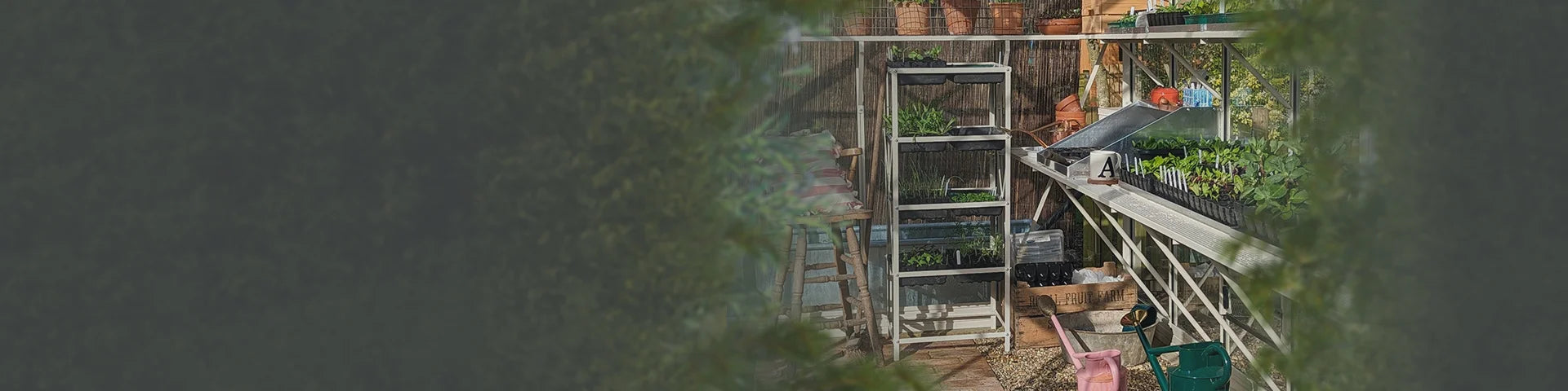 Shelves hold potted plants and seedlings in an organized manner within a Rhino Greenhouse's interior. Gardening tools and accessories are placed nearby, surrounded by a vibrant, lush garden environment.