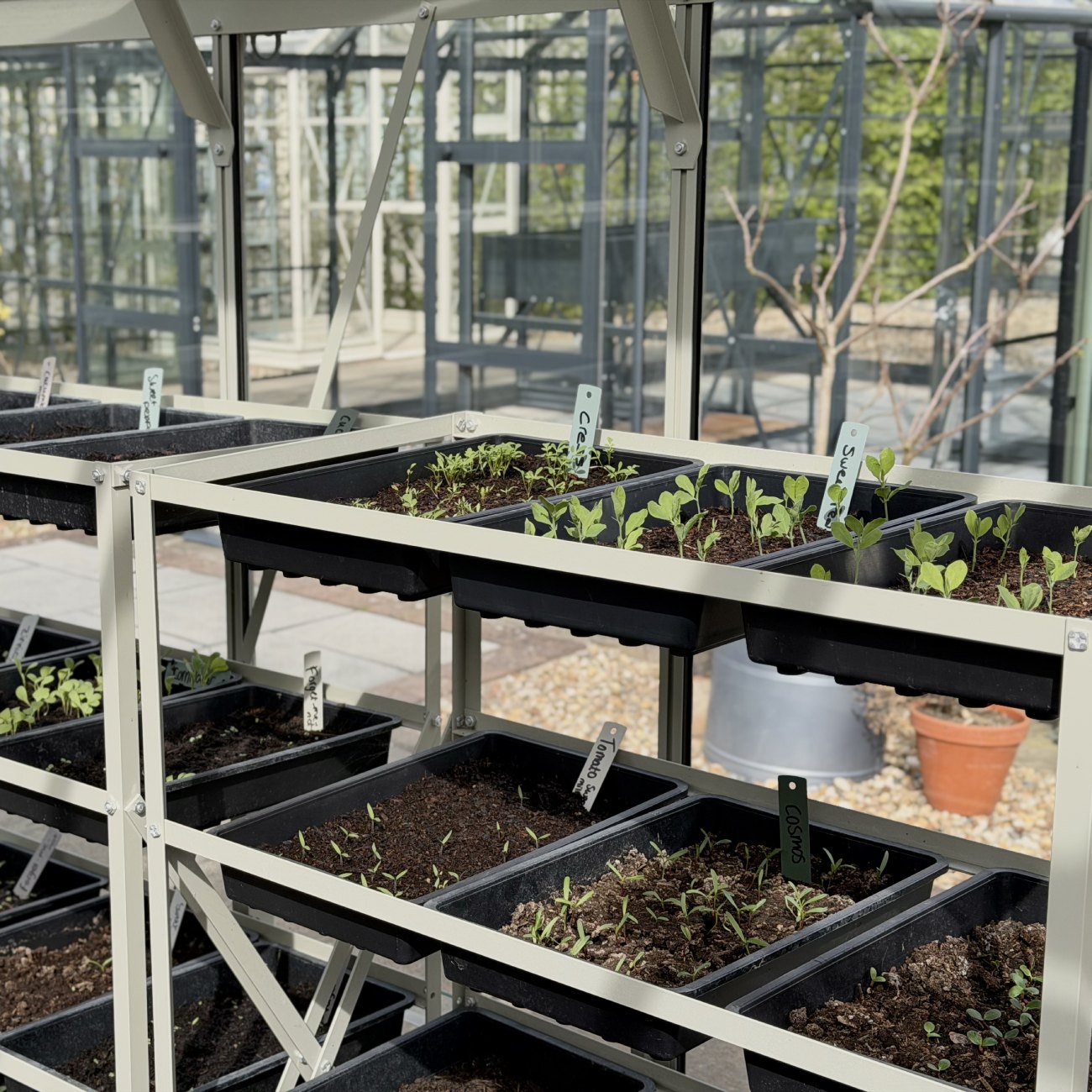 seedracks in silver sage