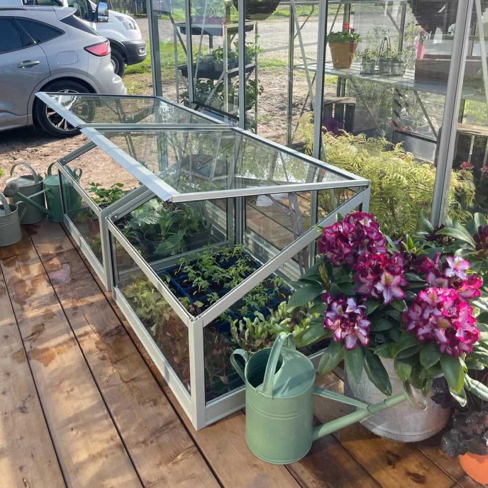 A small glass Rhino Greenhouse holds thriving plants, with an open roof for ventilation. Nearby, watering cans and vibrant flowers sit on a wooden deck beside parked cars, in a sunny outdoor setting.