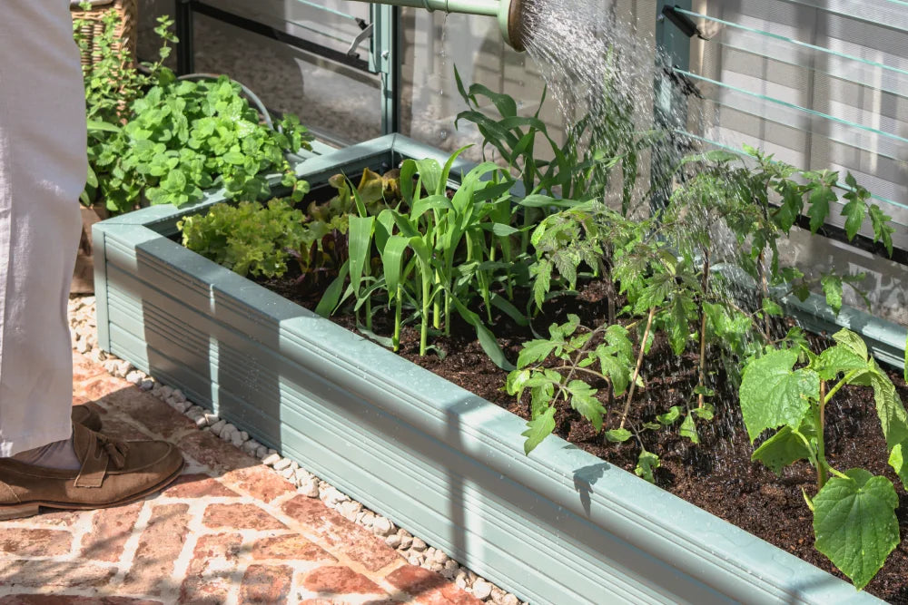 A person waters a variety of plants in a green Rhino metal raised garden bed, adjacent to a Rhino Greenhouse. The surrounding area features a brick and gravel pathway.