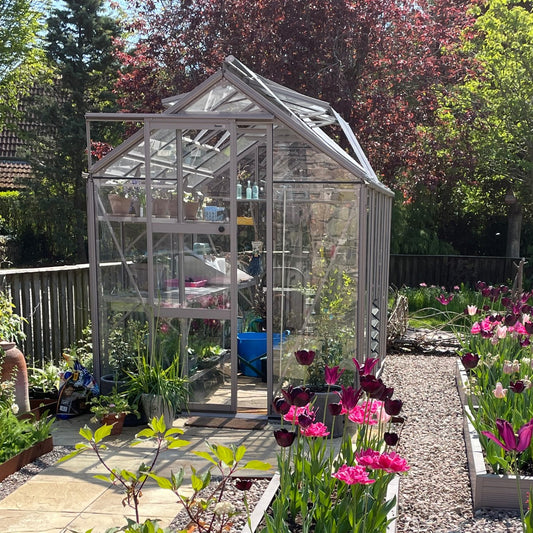 A transparent Rhino Greenhouse stands in a garden, housing plants and gardening supplies. Surrounded by vibrant pink and purple flowers, it's flanked by a wooden fence and lush trees.