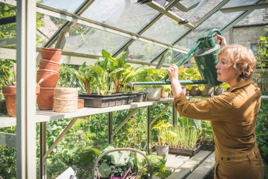 A woman waters plants inside a glass Rhino Greenhouse filled with potted plants and gardening tools. Sunlight streams in, illuminating the lush greenery and terracotta pots on the shelves.