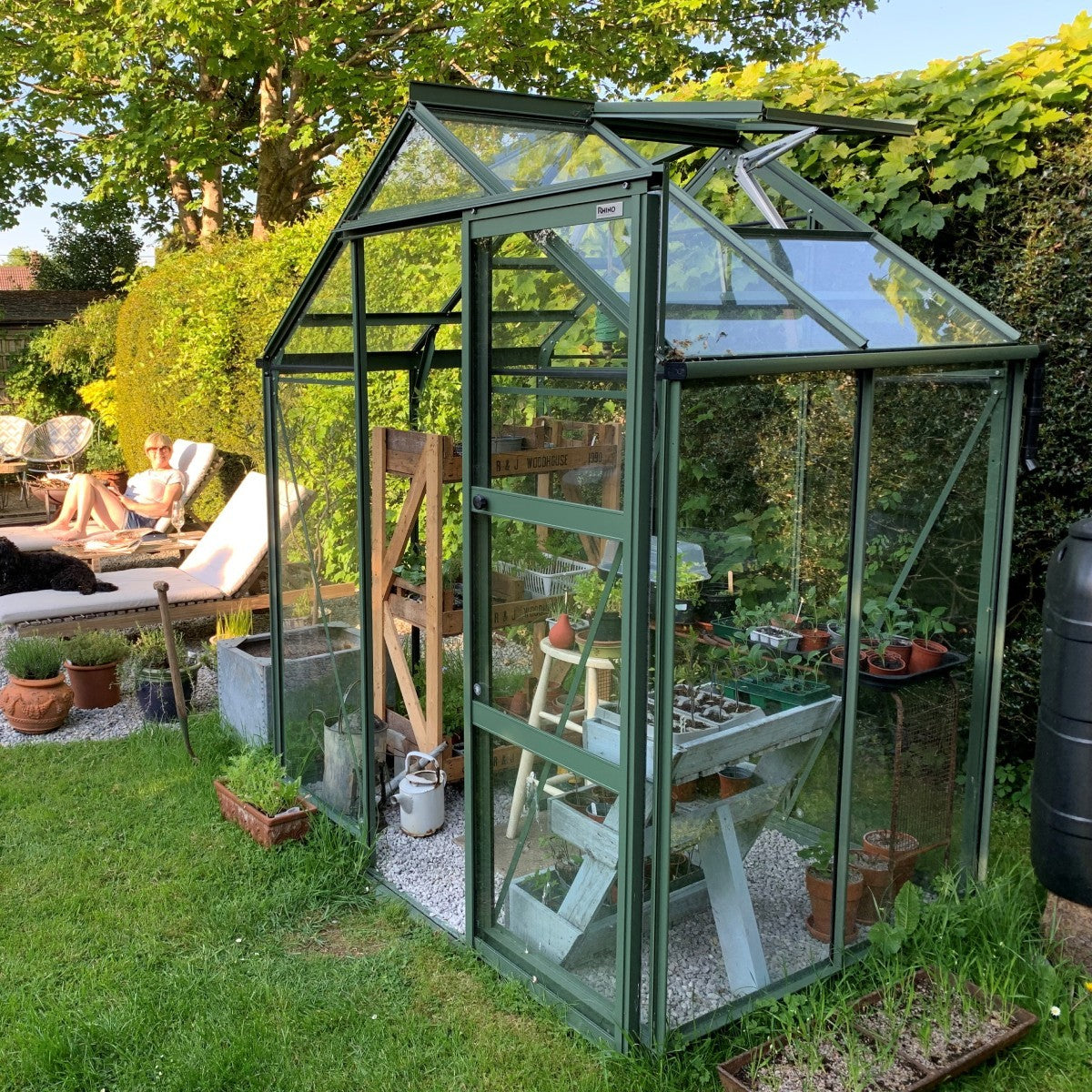 A green Rhino Greenhouse, labeled Rhino, contains plants on shelves. It stands on gravel among grass and hedges, with garden tools nearby. In the background, a person relaxes on a lounge chair.