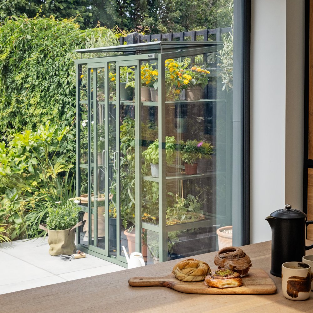 Rhino Greenhouse displaying vibrant plants, located in a garden with lush greenery. Viewed through a window, a wooden table holds pastries on a board next to mugs and a coffee pot.