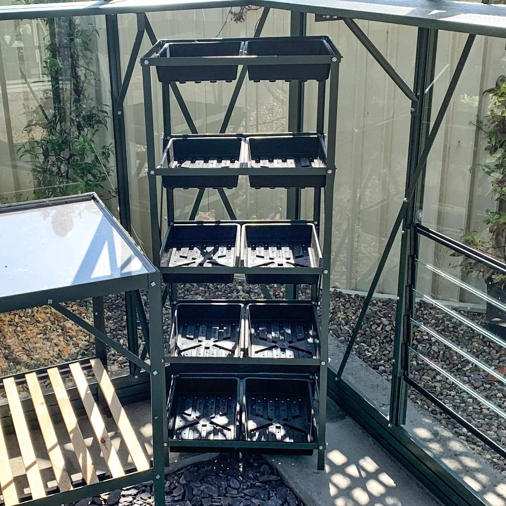 A metal shelf with six black trays is standing inside a Rhino Greenhouse. Sunlight casts shadows on the trays, and the surrounding area has gravel, glass walls, and climbing plants.