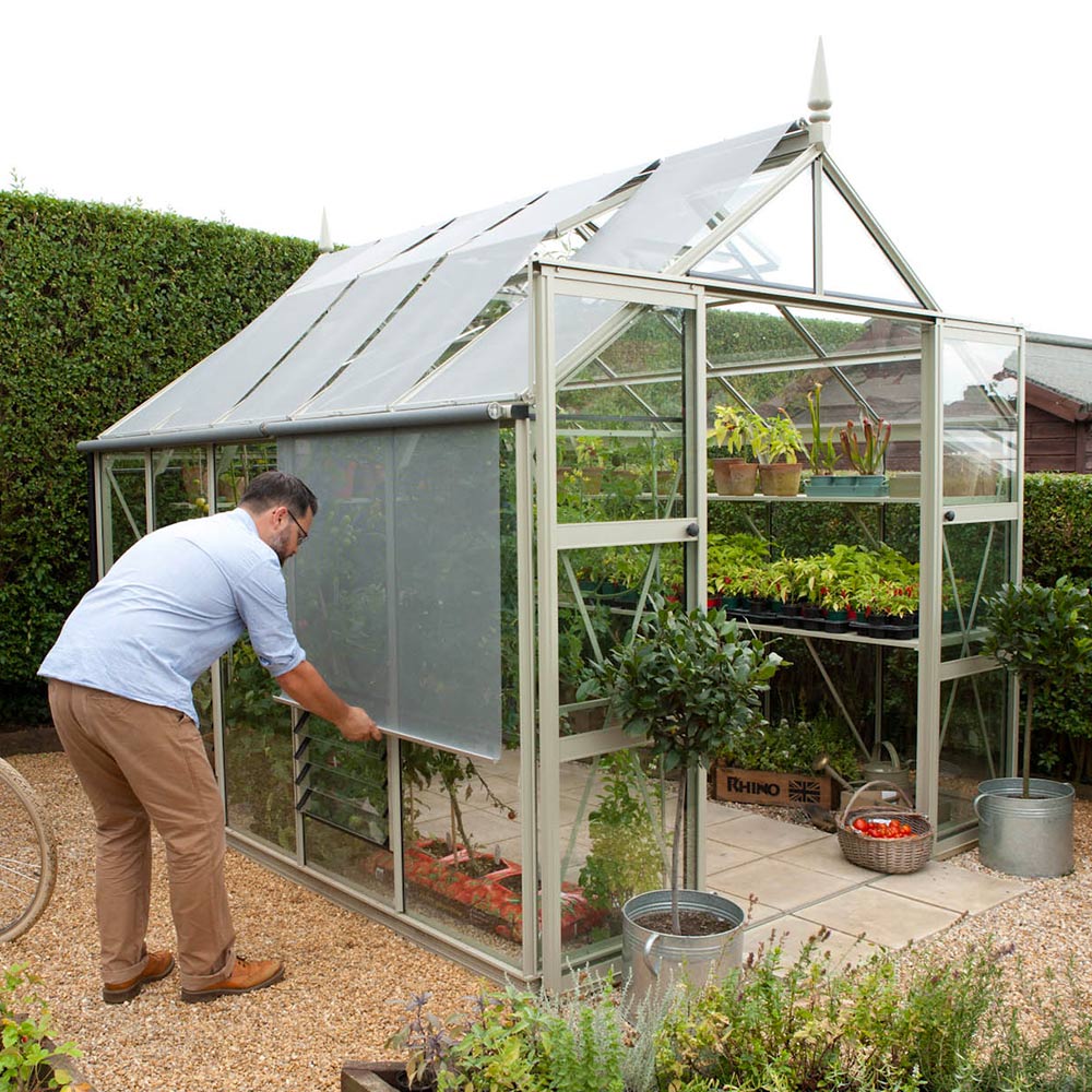 A man adjusts a roller screen on a glass Rhino Greenhouse filled with plants in pots, set in a gravel-covered garden with surrounding hedges. Two metal buckets sit nearby.